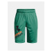 Zelené športové šortky Under Armour UA Prototype 2.0 Logo Shorts