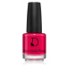 Diego dalla Palma Nail Polish dlhotrvajúci lak na nechty odtieň 224 Red Passion