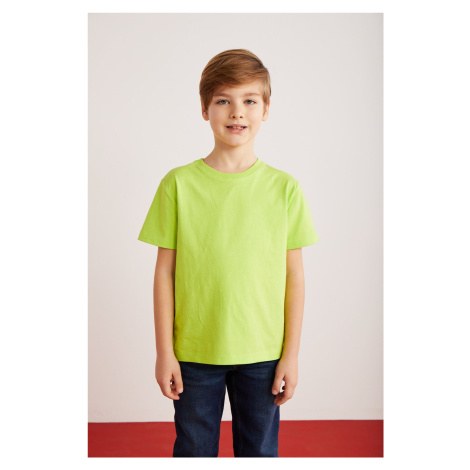 GRIMELANGE Fae Boy's 100% Cotton Short Sleeve Crew Neck Pistachio Green / Black / White T-shirt