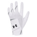 Under Armour UA Youth IsoChill Golf Glove J 1370273-100