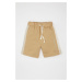 DEFACTO Baby Boy Printed Shorts