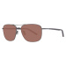 Serengeti Sunglasses