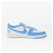 Tenisky Nike Terminator Low University Blue/ White