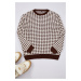 Trendyol Brown Regular Crew Neck Houndstooth Knitwear Sweater