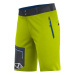 Men's Shorts Crazy Idea Resolution Liken