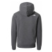 The North Face Standard Hoodie Grey