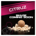 Nash stick mix citruz 1 kg