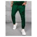 Green Dstreet Men's Trousers