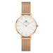 Dámske hodinky DANIEL WELLINGTON DW00100163 - PETITE MELROSE (zx704b)