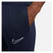 Pánské kalhoty Academy 23 Pant M 451 XXL model 18241695 - NIKE