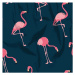 HORSEFEATHERS Trenírky Manny - flamingos BLUE