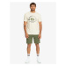 Quiksilver šortky Krandy St Short four leaf clover