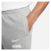 Nike CLUB+ FT SHORT MLOGO Pánske šortky, sivá, veľkosť