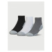 HeatGear® Ponožky 3 páry Under Armour Farebná