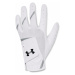 Under Armour Iso-Chill Golf Glove Youth LH White/Metallic Silver