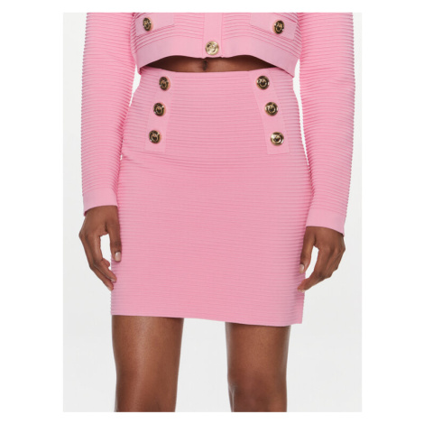 Pinko Mini sukňa 102880 A1LK Ružová Regular Fit