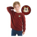 Denokids Tiger Boys Sweatshirt