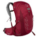 Osprey talon III 22l cosmic red L/XL