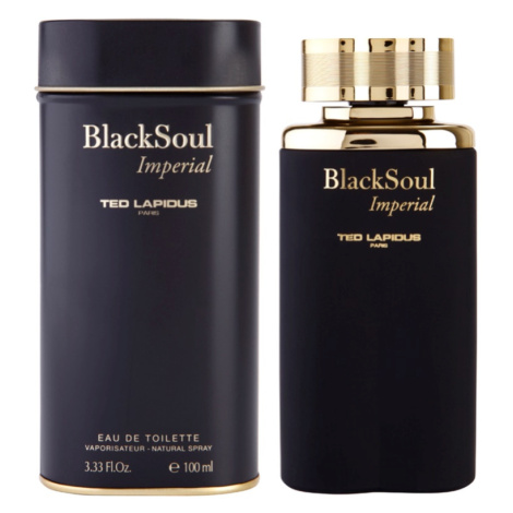 Ted Lapidus Black Soul Imperial toaletná voda pre mužov
