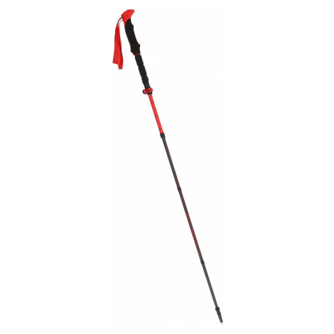 čierne nordic walking a trekové palice