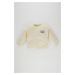 DEFACTO Baby Boy Printed Crew Neck Sweater