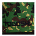 Togoshi Látkové rúško TG-MASKA Zelená