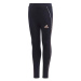 Legíny adidas Lg Cot Tight Jr GG3497 110cm