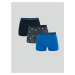 LC Waikiki Standard Mold Flexible Fabric Men's Boxer 3-Piece