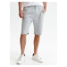 Top Secret MEN'S SHORTS