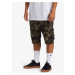 Men's shorts Quiksilver CRUCIAL BATTLE CARGO