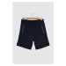 Trendyol Navy Blue Men's Regular Fit Shorts &amp; Bermuda
