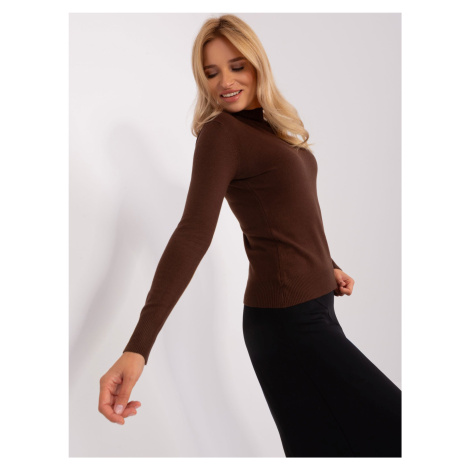 Dark brown fitted sweater with turtleneck