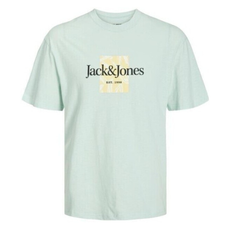 Jack & Jones  12250436 JORLAFAYETTE  Tričká s krátkym rukávom Zelená