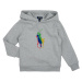 Polo Ralph Lauren  PO HOOD-KNIT SHIRTS-SWEATSHIRT  Mikiny Šedá