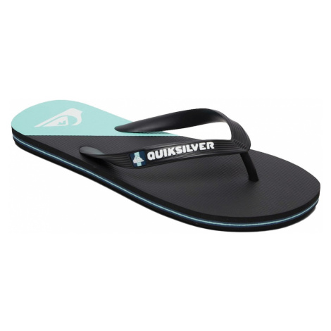 Pánske žabky Quiksilver