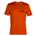 Men's T-Shirt Icebreaker Tech Lite SS Crewe The Good Life