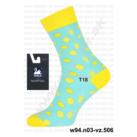 WOLA Pánske ponožky w94.n03-vz.506 T18