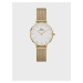 Dámske hodinky v zlatej farbe Daniel Wellington Petite Evergold