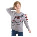 Denokids Candy Dinosaur Boys Gray Sweatshirt