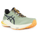 Asics GT-2000 12 TR M 1011B775250