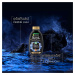 Garnier Botanic Therapy Magnetic Charcoal Čistiaci šampón, 400 ml