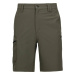 Men's shorts Trespass UPWELL