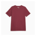 PUMA Pán. tričko Blueprint Q4 Graphic Farba: Tmavočervená