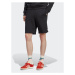 Adidas Športové kraťasy Essentials+ Made With Hemp Shorts HR8617 Čierna Regular Fit
