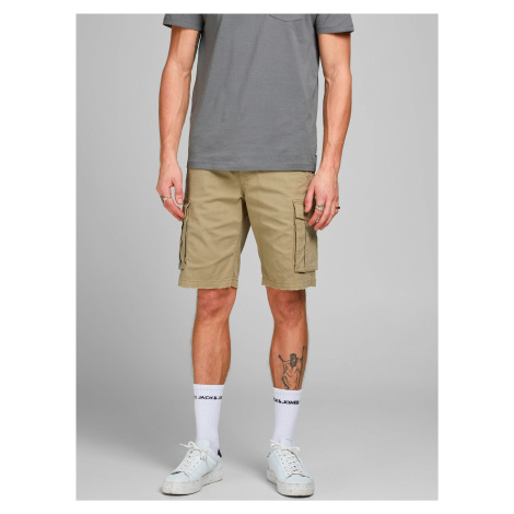 Pánske kraťasy a šortky Jack & Jones