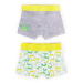 Yoclub Kids's Cotton Boys' Boxer Briefs Underwear 2-pack BMB-0011C-AA30-001