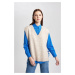 DEFACTO Regular Fit V-Neck Sweater