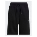 Adidas Športové kraťasy Adicolor Shorts IC6246 Čierna Regular Fit