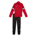 Detské tepláky Puma Team Rise Jr 658655 01 kids