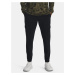 Men's Sports Pants Under Armour Stretch Woven Cargo Pants